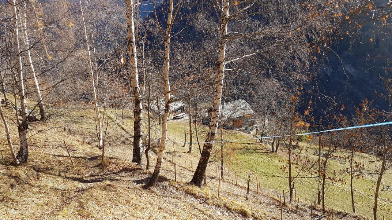 Chalet La Paz With Hotpot And Sauna Villa Torbel Exterior photo