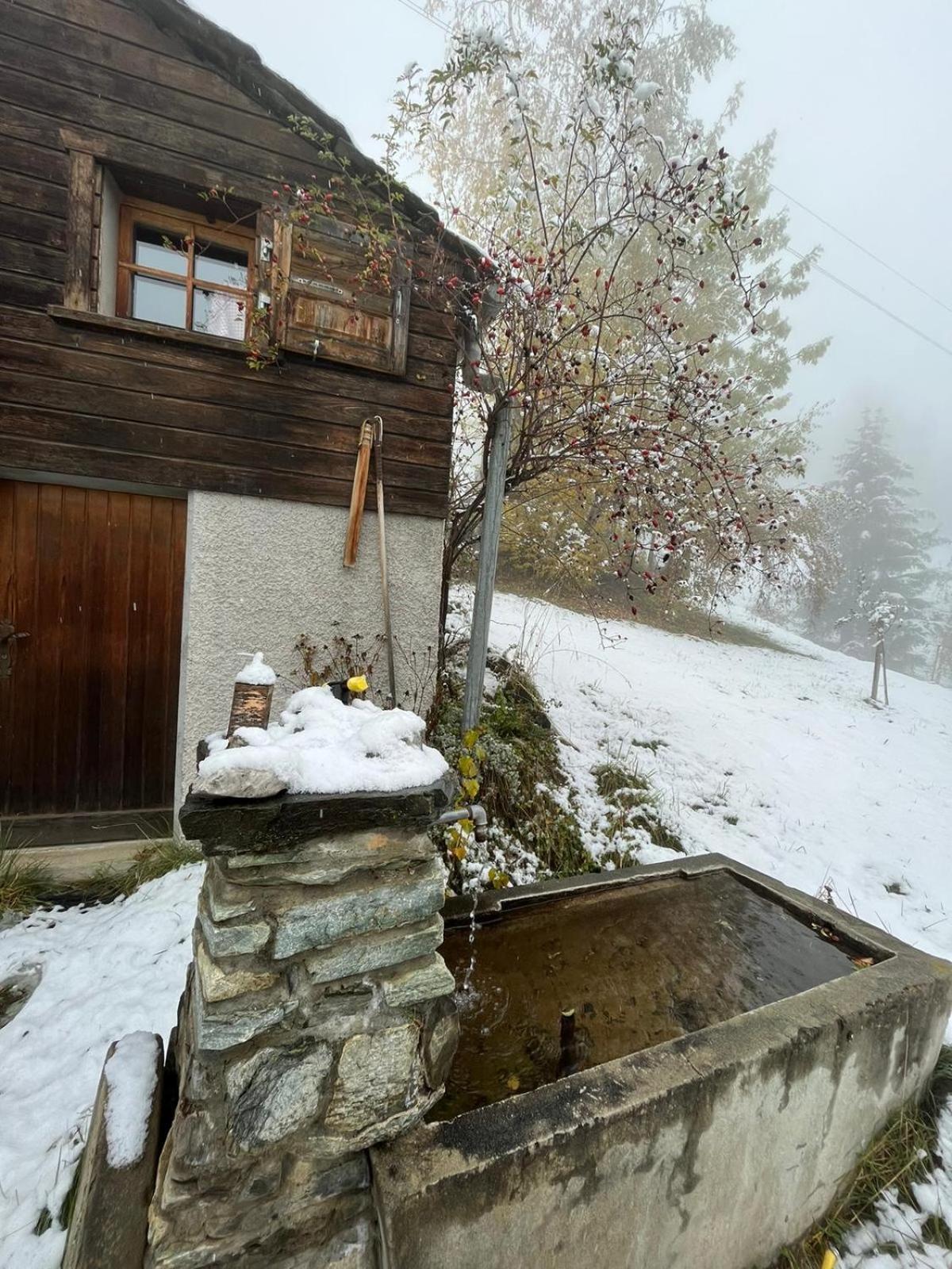 Chalet La Paz With Hotpot And Sauna Villa Torbel Exterior photo