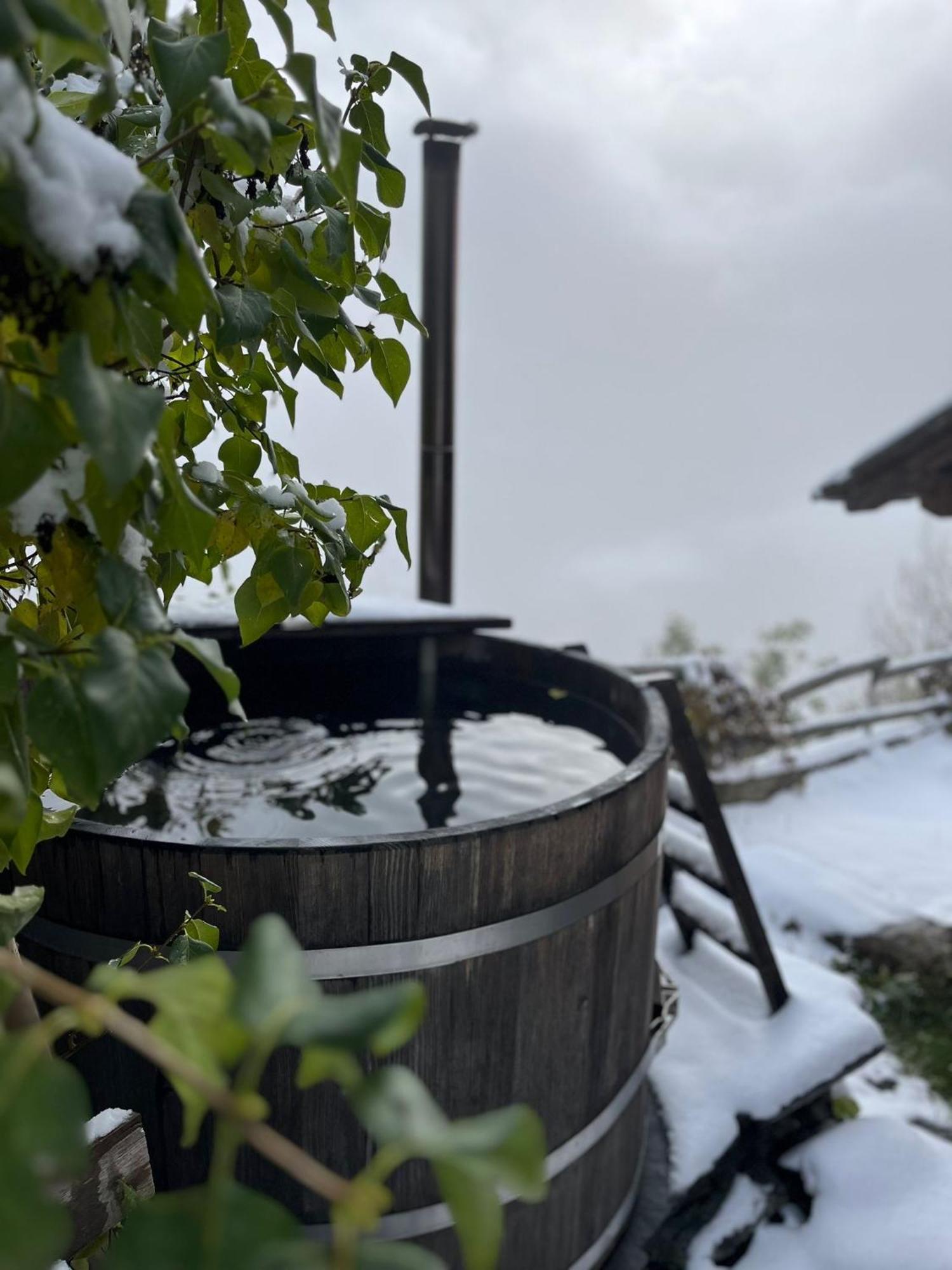 Chalet La Paz With Hotpot And Sauna Villa Torbel Exterior photo